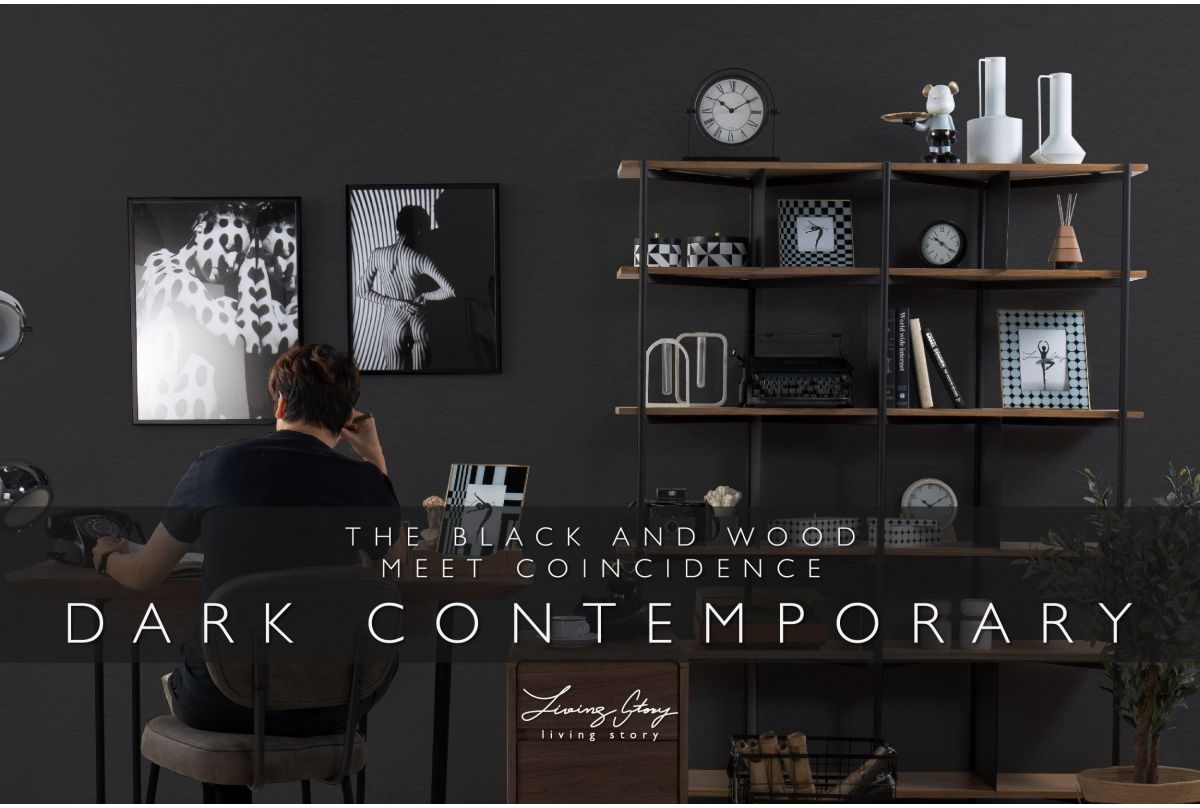 how-to-create-dark-contemporary-style-ไอเดียแต่งบ้าน-idea